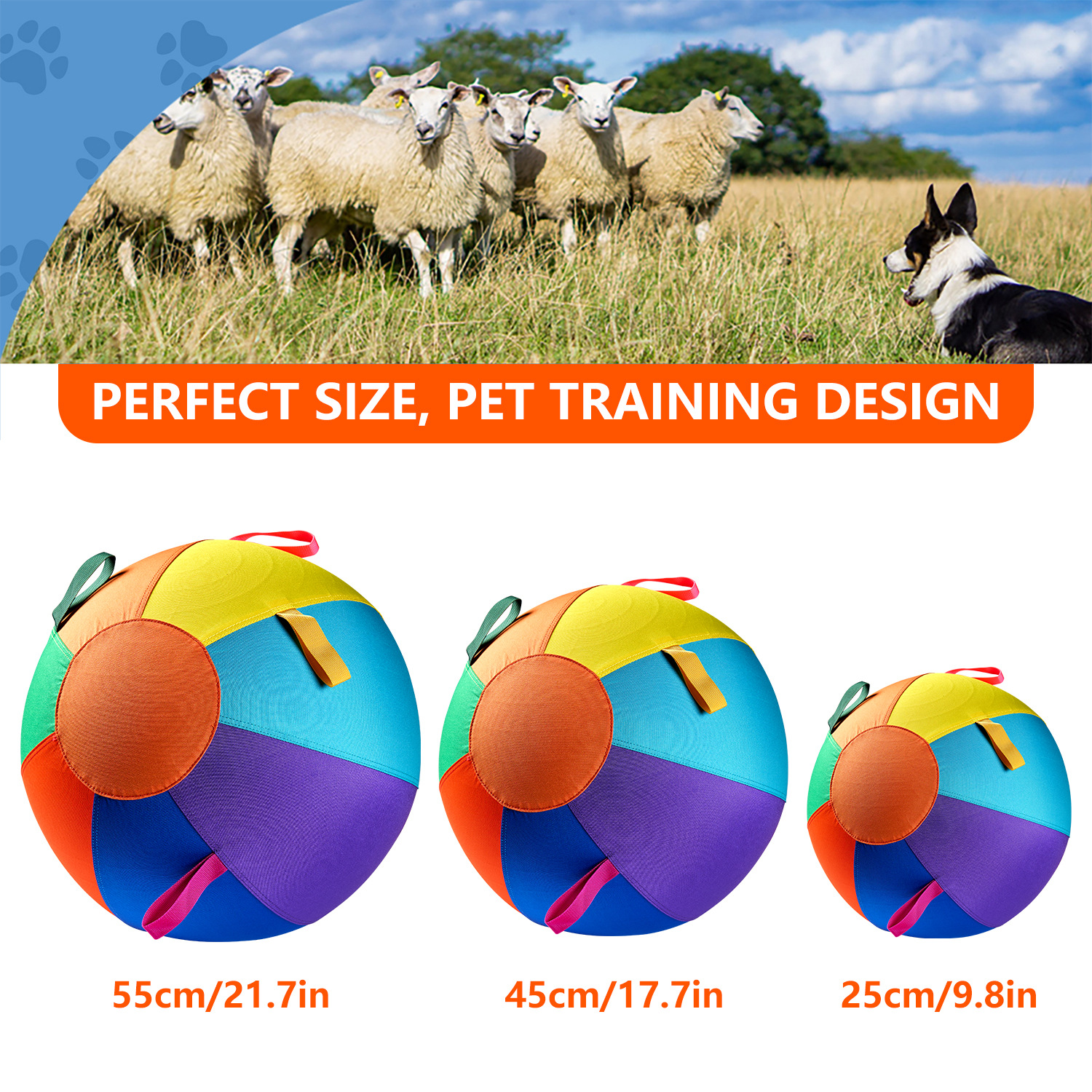 Colorful Inflatable Dog Training Toy image 14