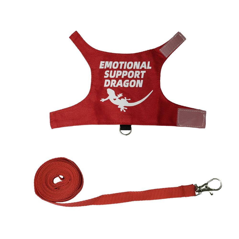 Lizard Harness And Leash Set image 8