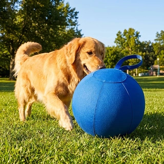 Outdoor Interactive Bite-resistant Pet Toy image 4