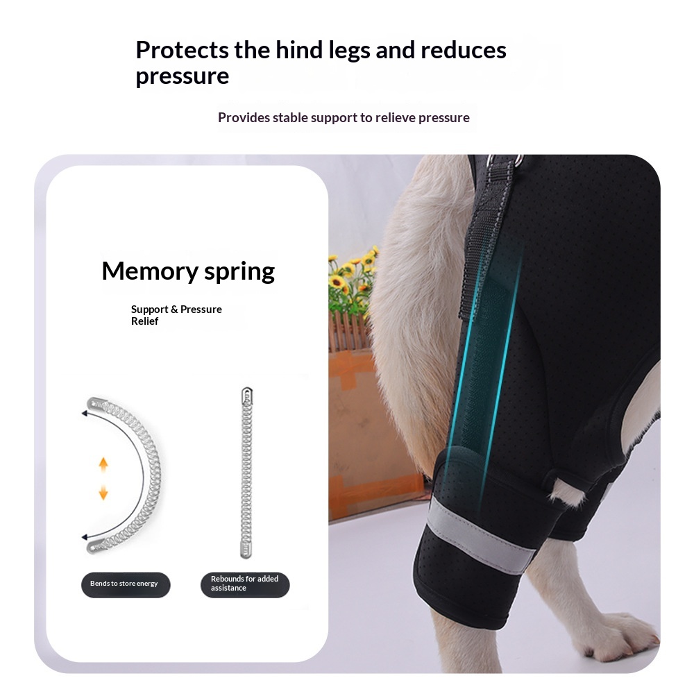 Dog Rear-Leg Rehabilitation Assist Harness image 5