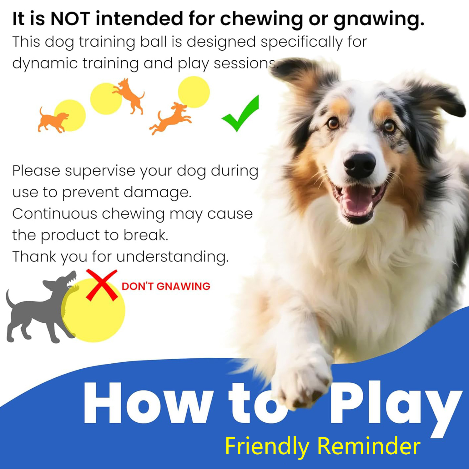 Colorful Inflatable Dog Training Toy image 2