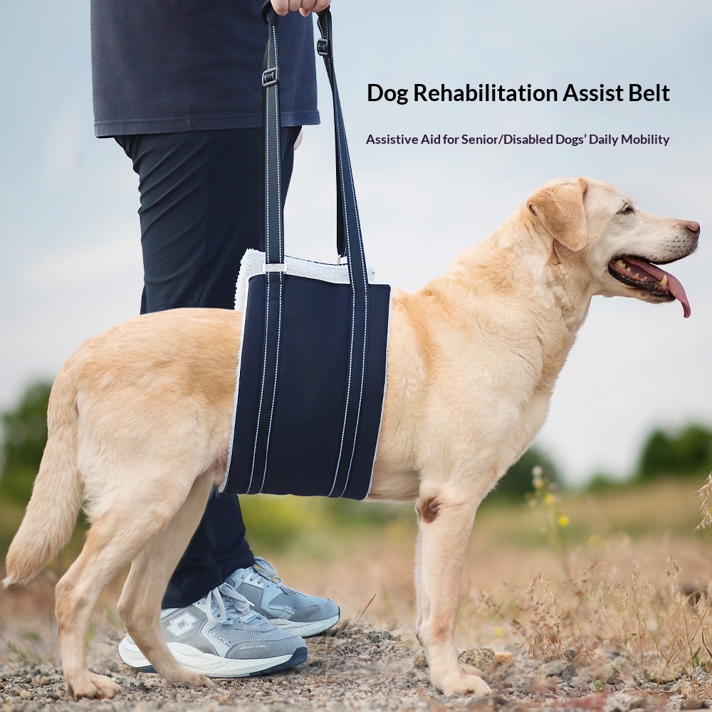 Outdoor Rehabilitation Pet Supplies Assistive Strap image 5