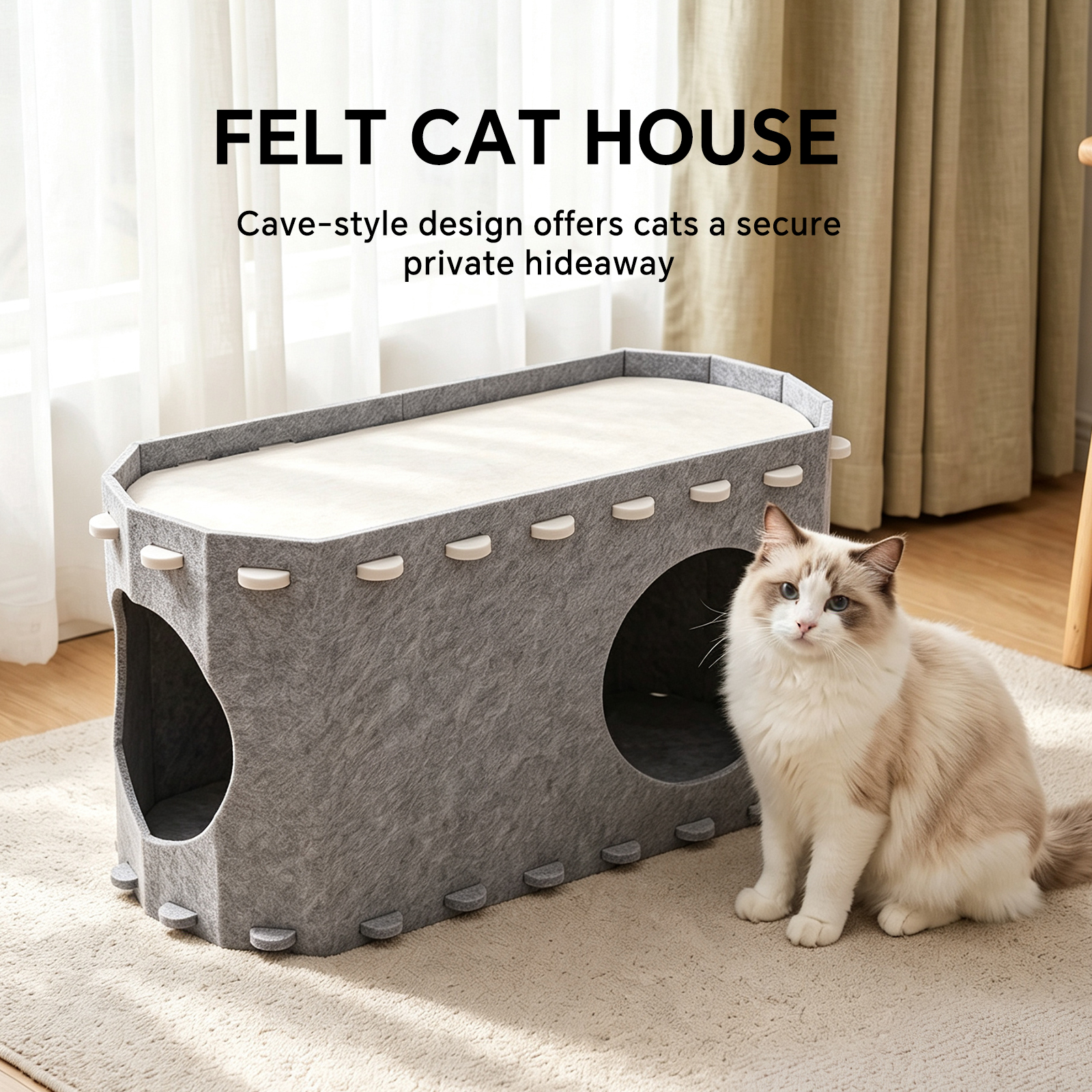 Cat House Petting Room image 4