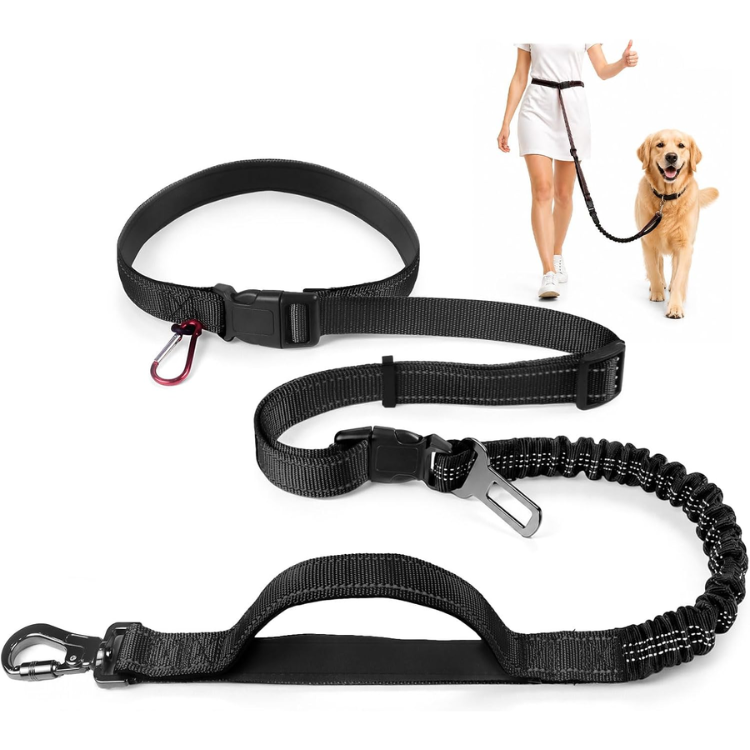 Hands-Free Bungee Dog Leash image 3