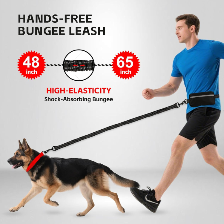 Hands-Free Running Dog Leash with Waist Belt image 3
