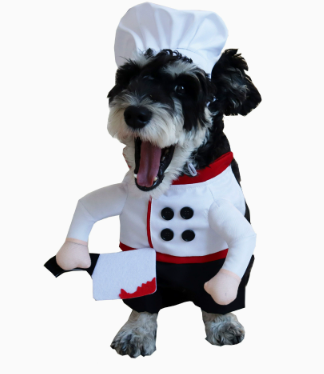 Pet Clothing Cat And Dog Apparel Supplies image 8