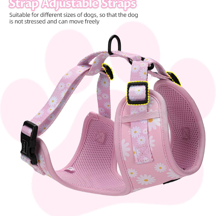 Floral Mesh Small Dog Harness and Leash Set image 3