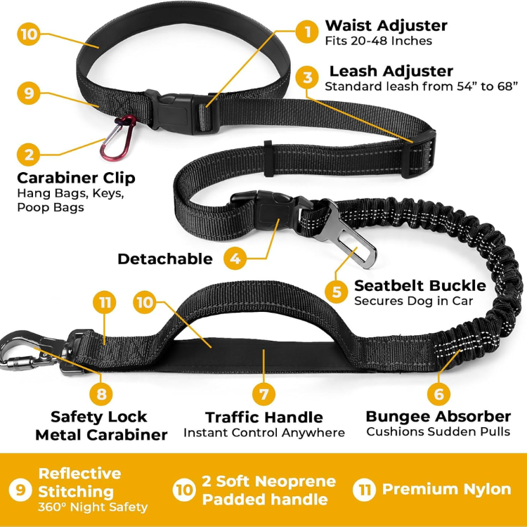 Hands-Free Bungee Dog Leash image 5