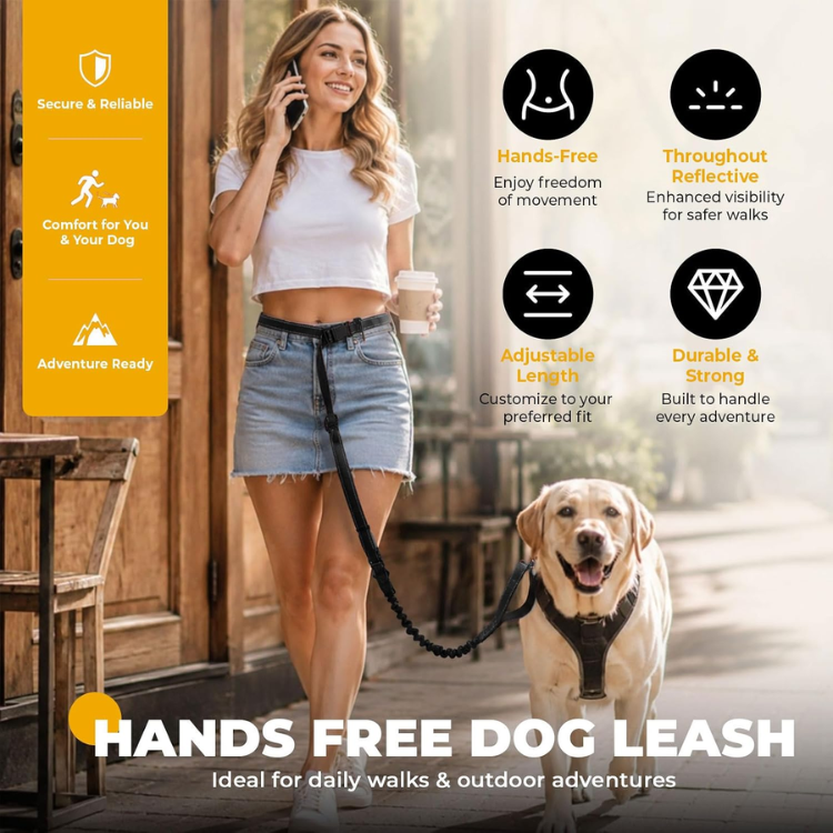 Hands-Free Bungee Dog Leash image 2