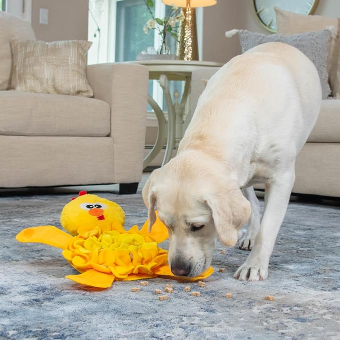 Chicken Snuffle Pal Squeaky Dog Toy image 2