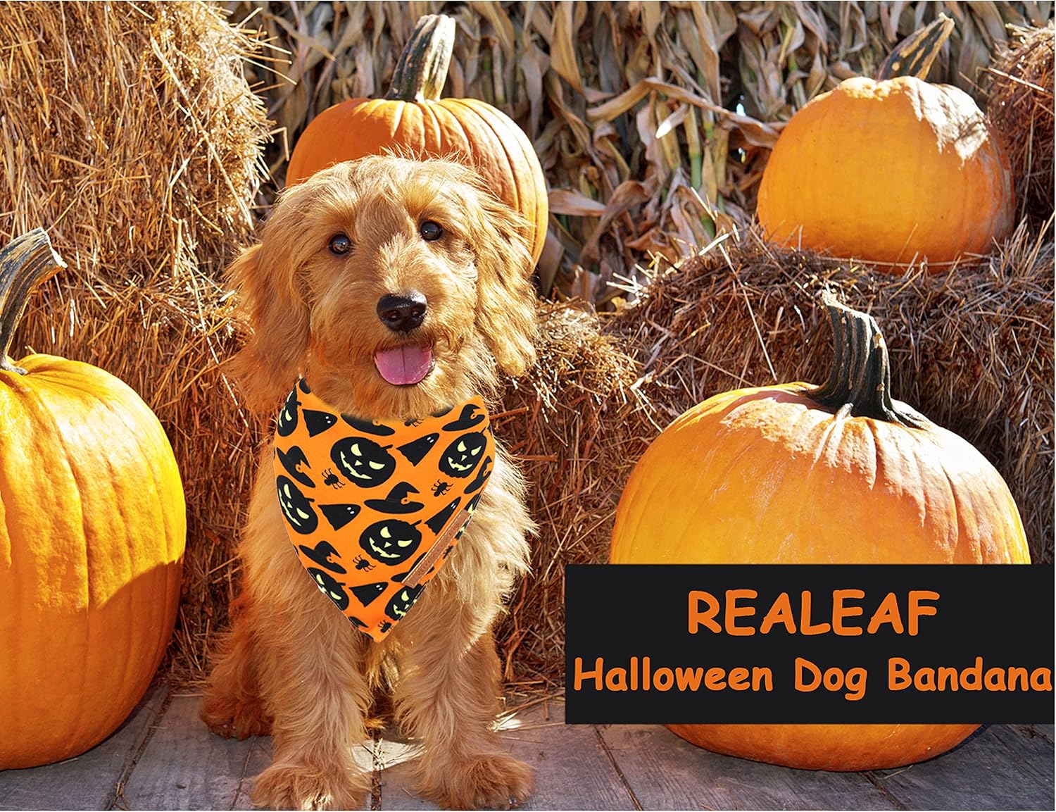 PlusPet Reversible Fall Dog Bandana 2 Pack image 4