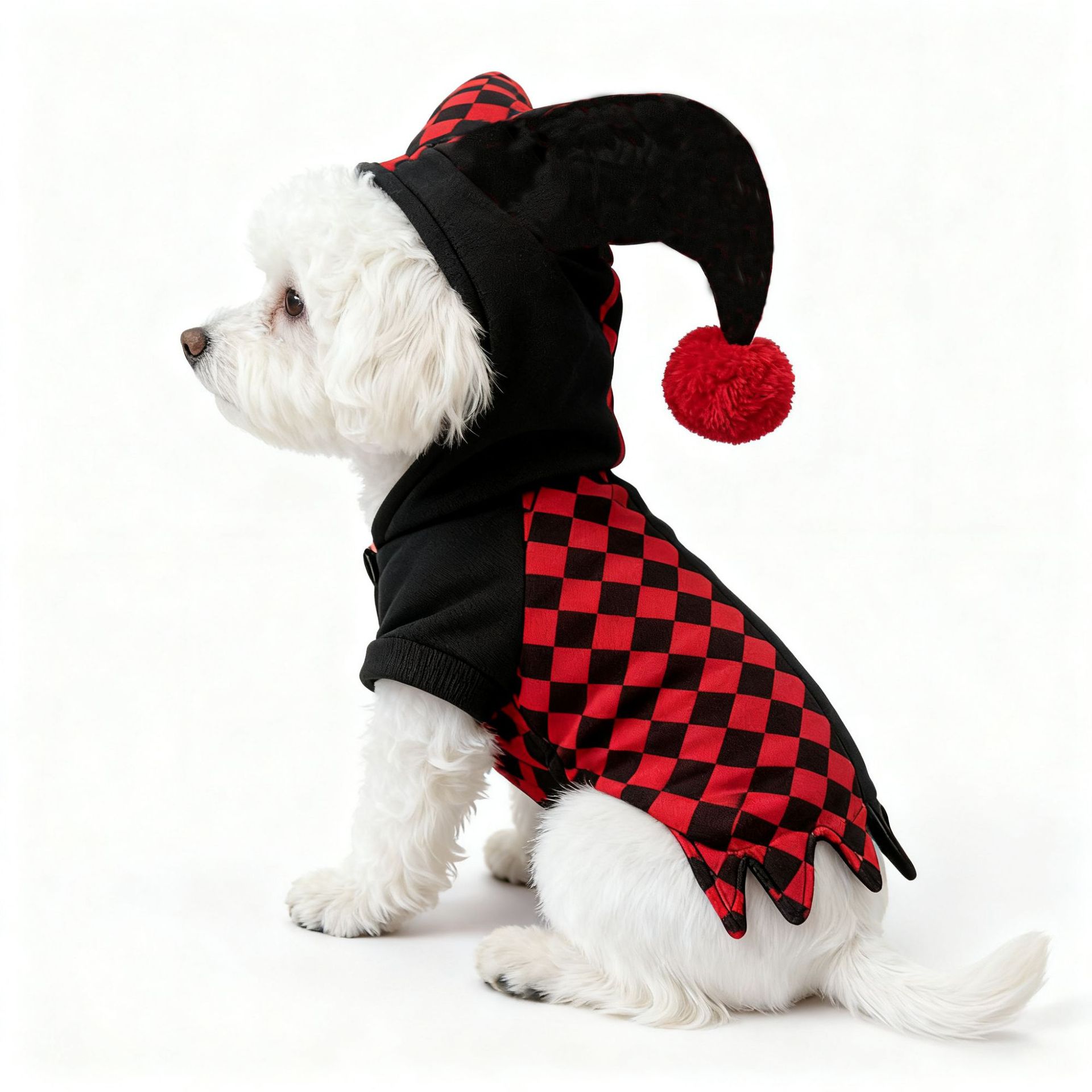 Halloween Dog Clown Costume with Jester Hat image 4