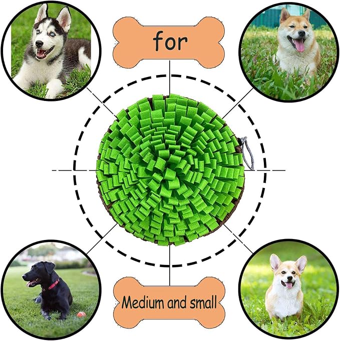 Interactive Foraging Snuffle Mat for Pets