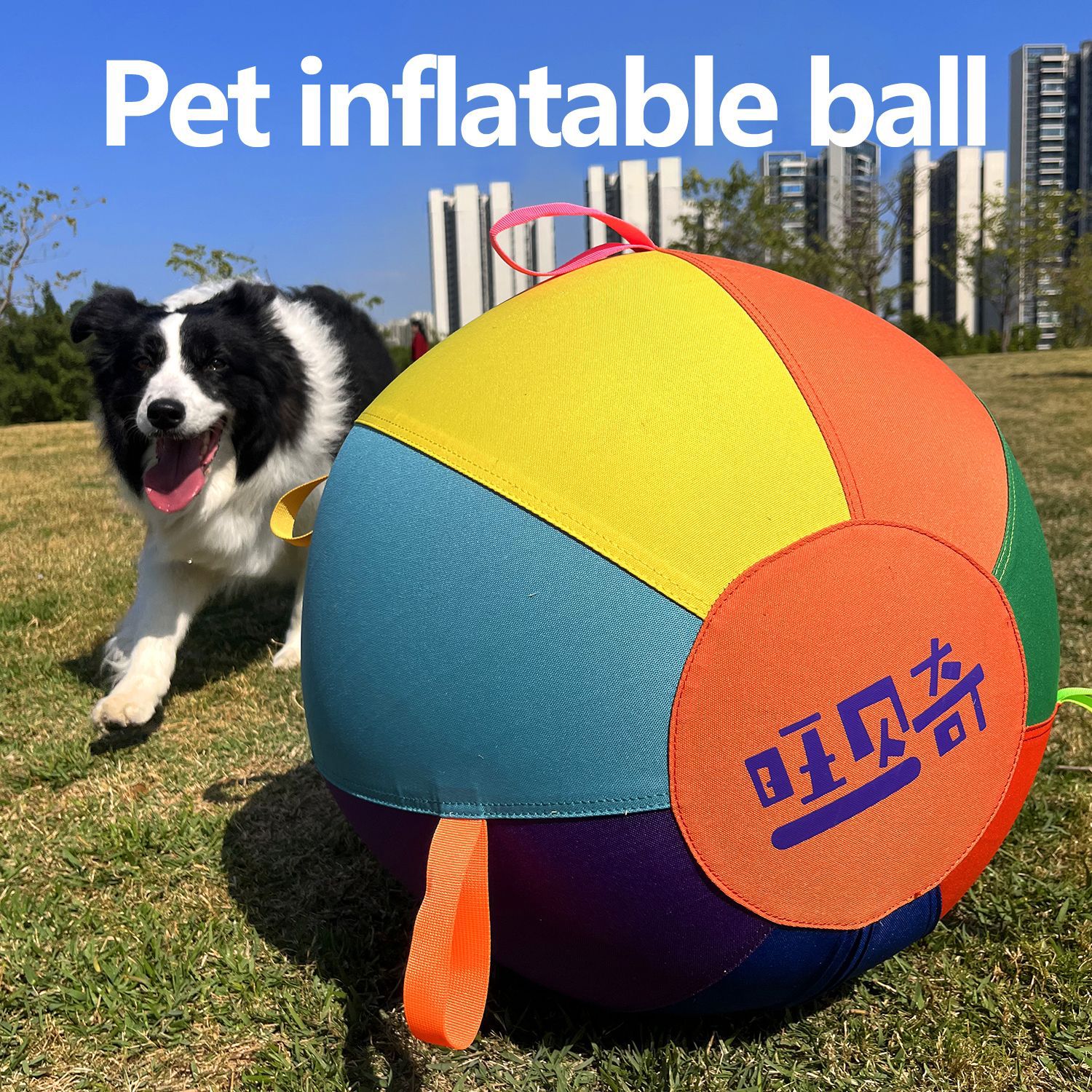 Colorful Inflatable Dog Training Toy image 9