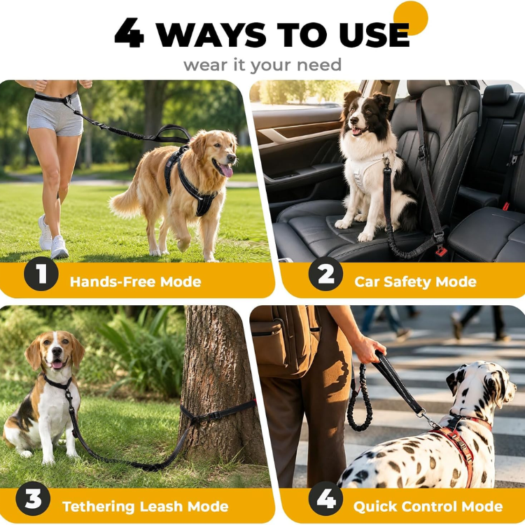 Hands-Free Bungee Dog Leash