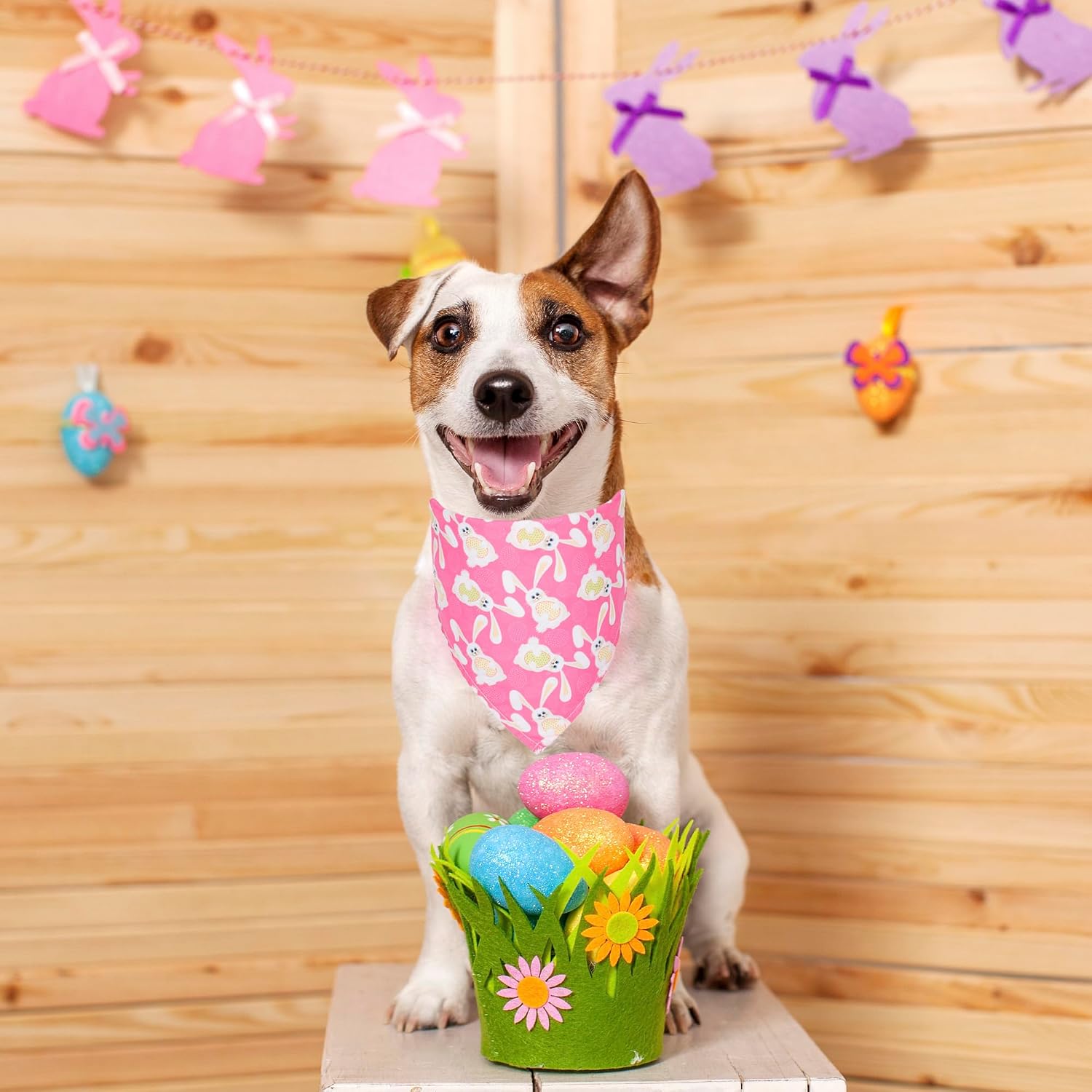 Easter Dog Bandanas, 4-Pack image 5
