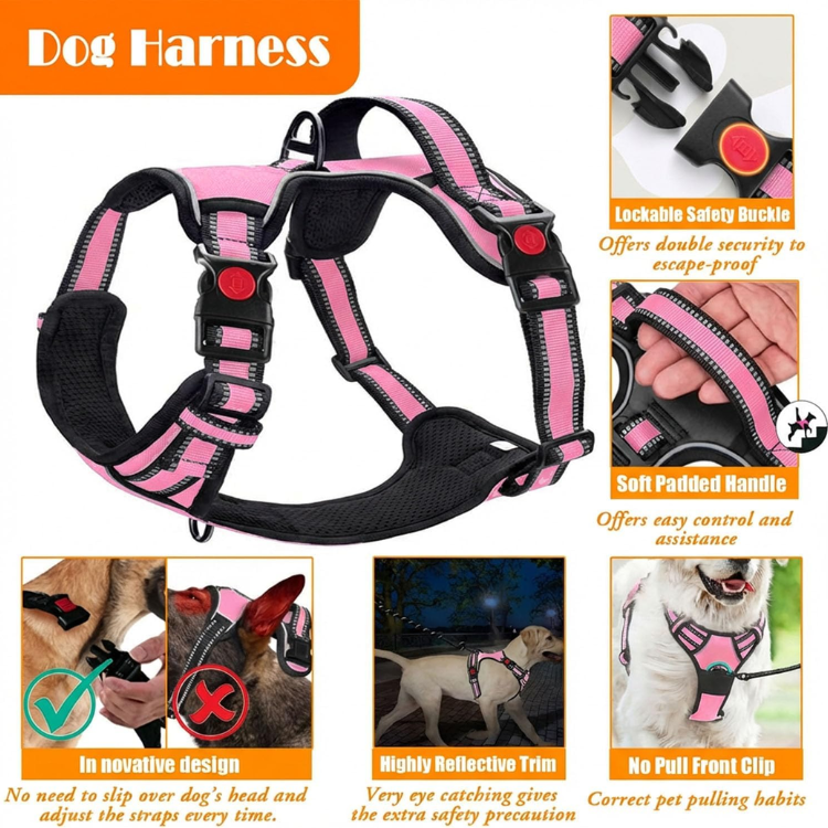 No Pull Dog Harness, Leash & Collar Set image 4