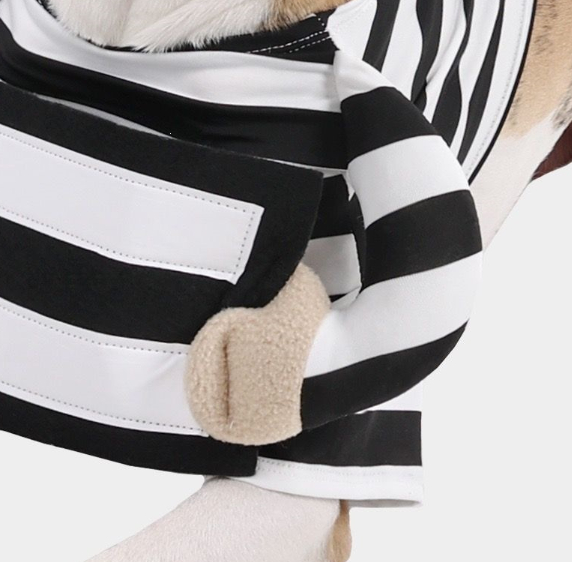 Personalized Halloween Dog Prisoner Pet Costume image 3