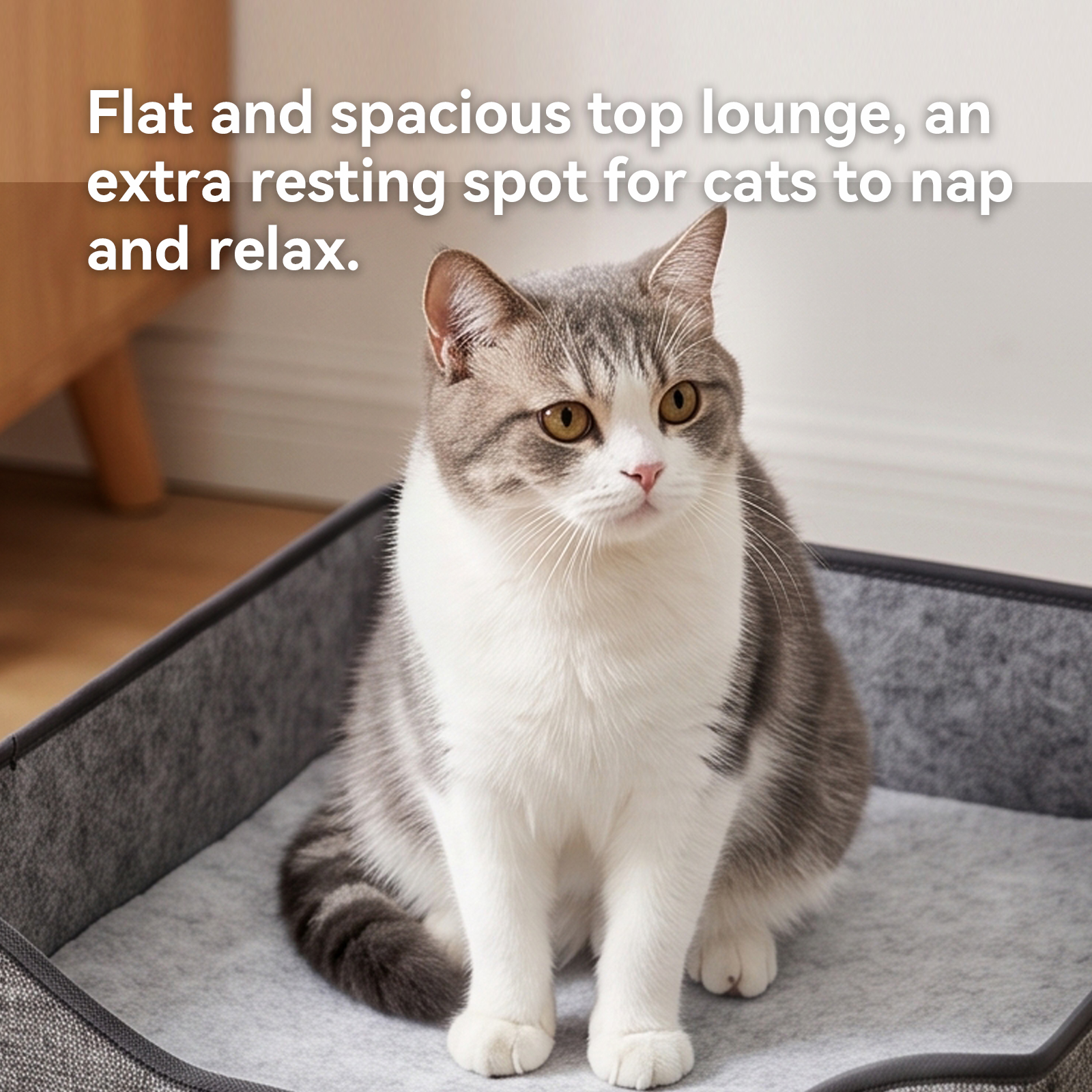 Arched Cat Bed In Green And Gray Color image 4