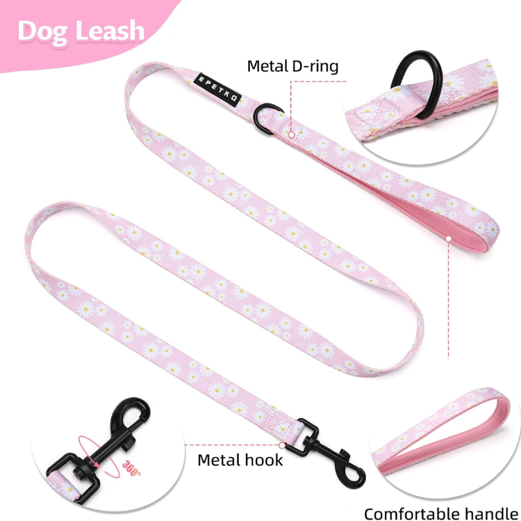 Floral Mesh Small Dog Harness and Leash Set