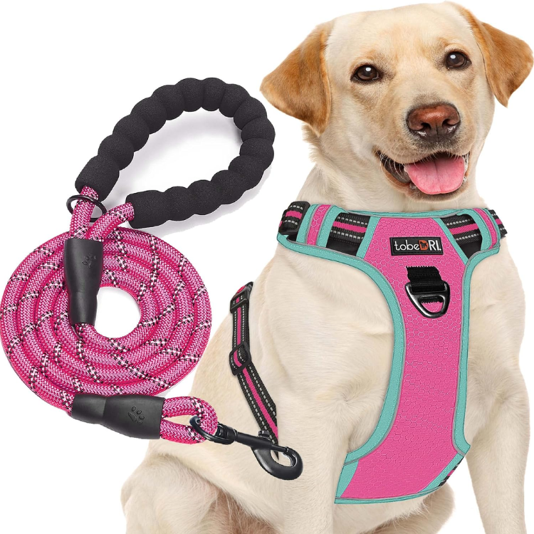Reflective No-Pull Dog Harness with Leash image 2