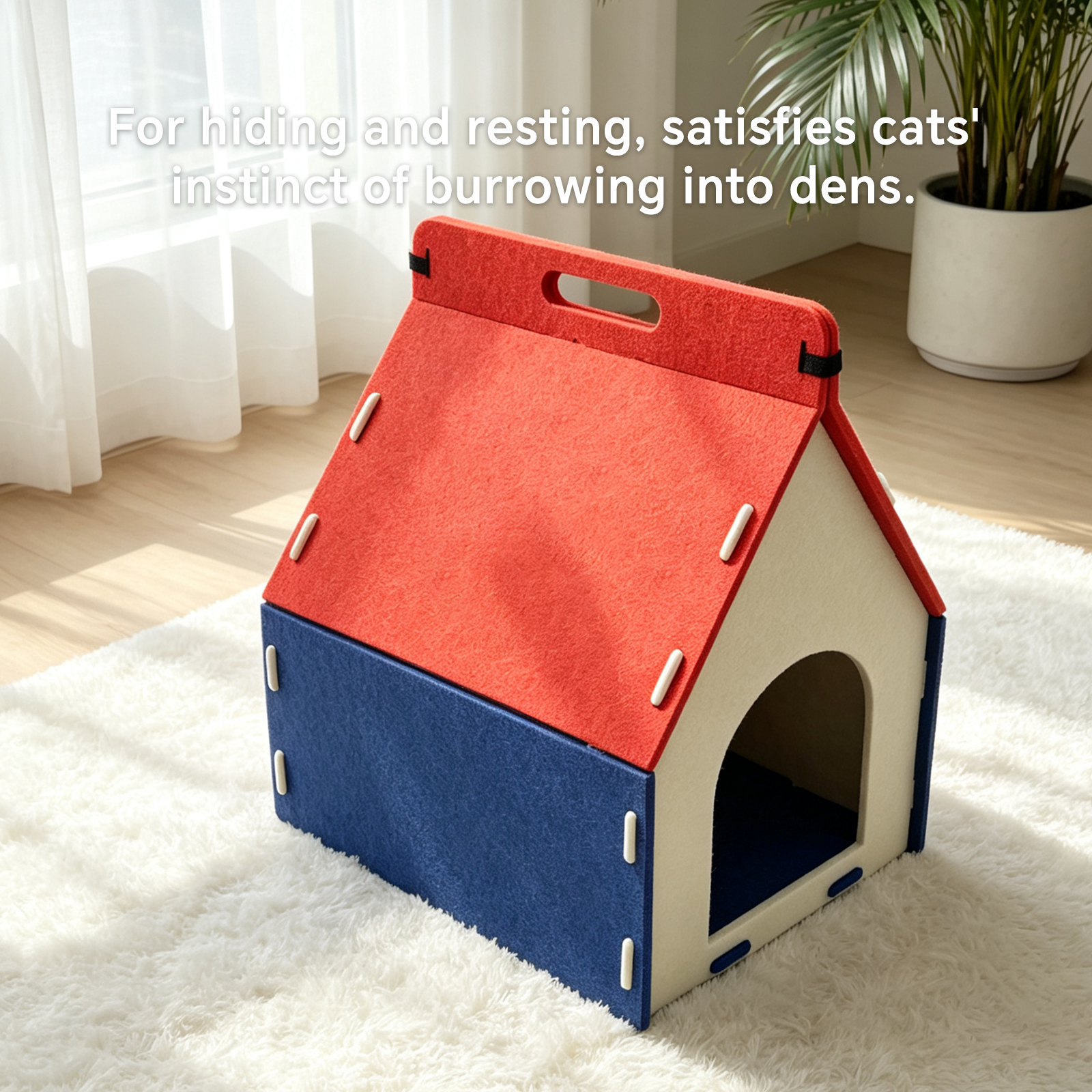 Cat Carrying A House image 10