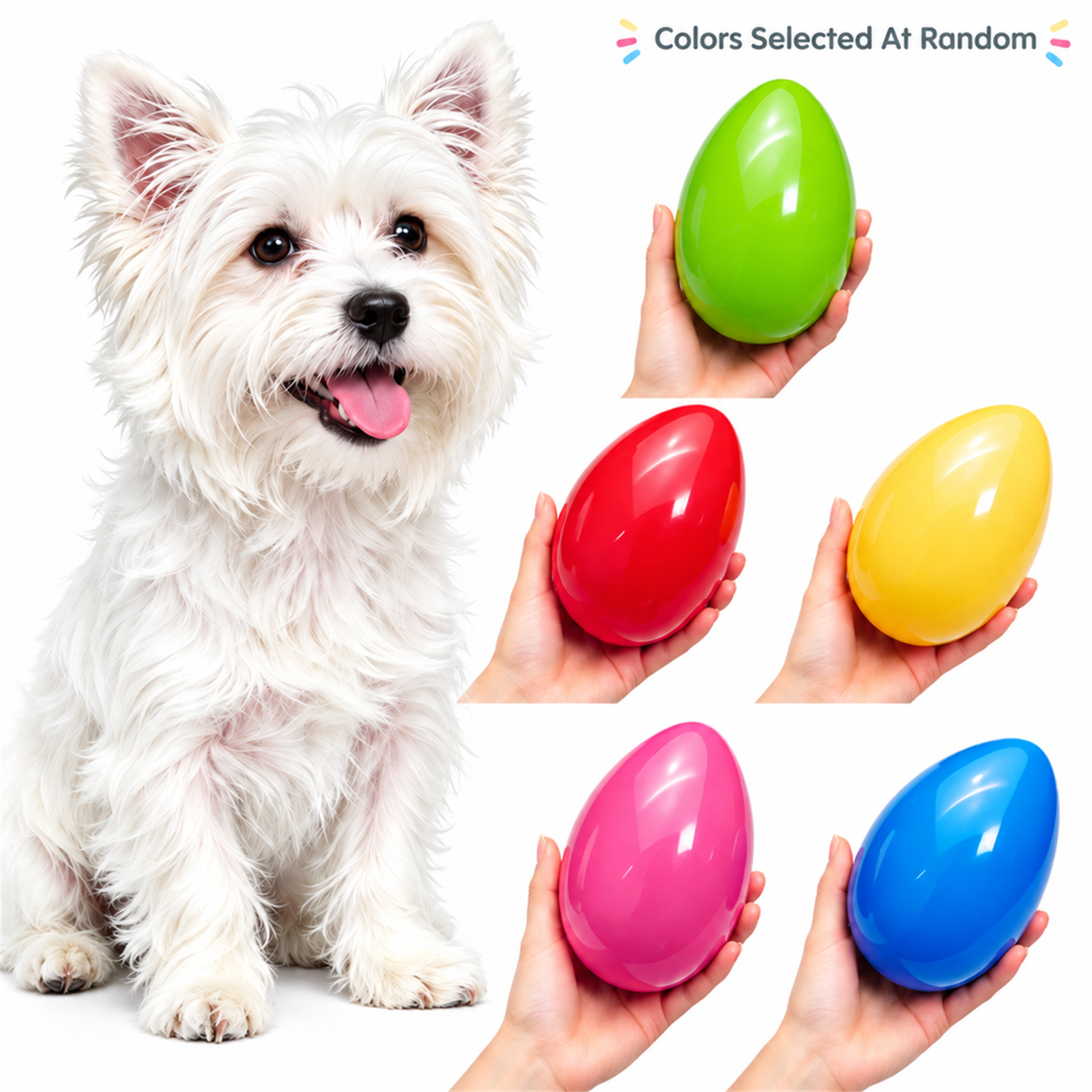 Pet Chewing Egg
