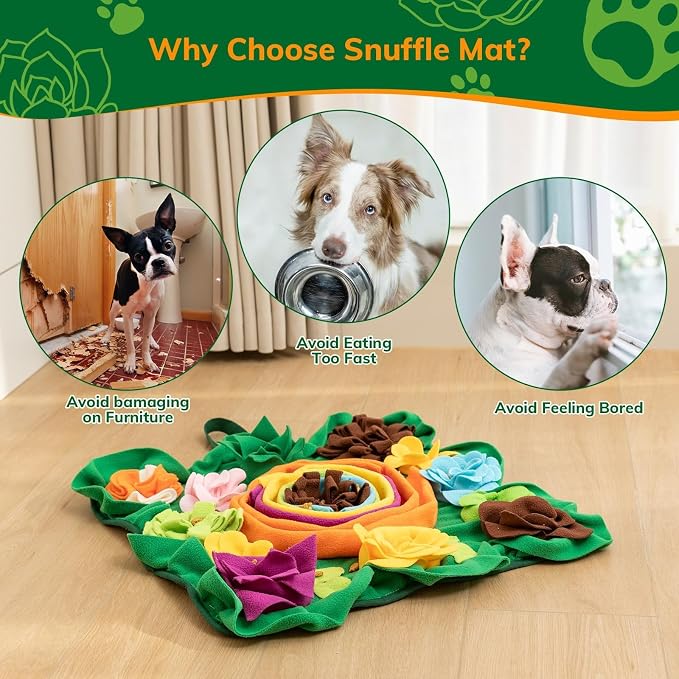 Interactive Snuffle Mat and Slow Feeder