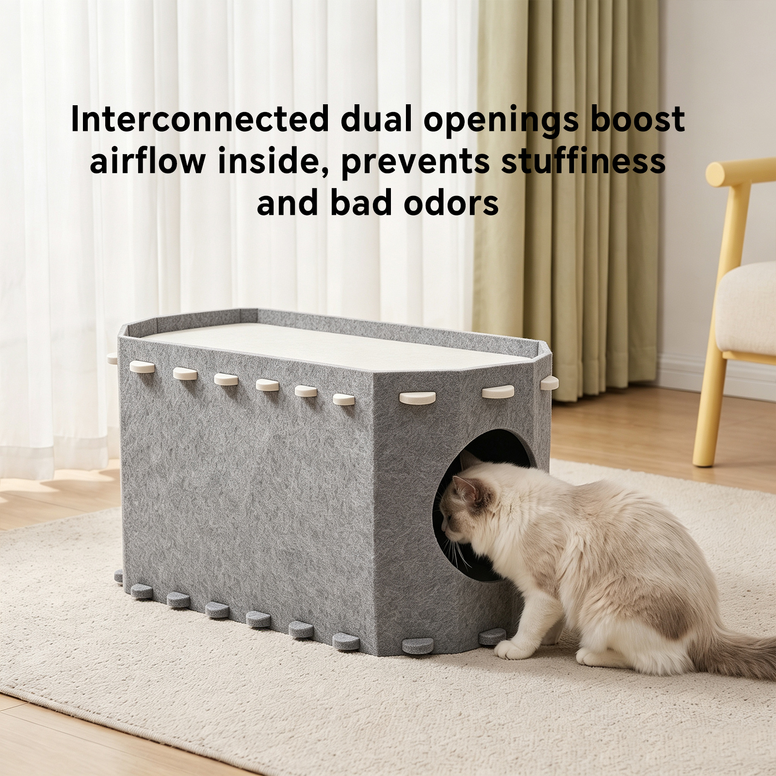 Cat House Petting Room