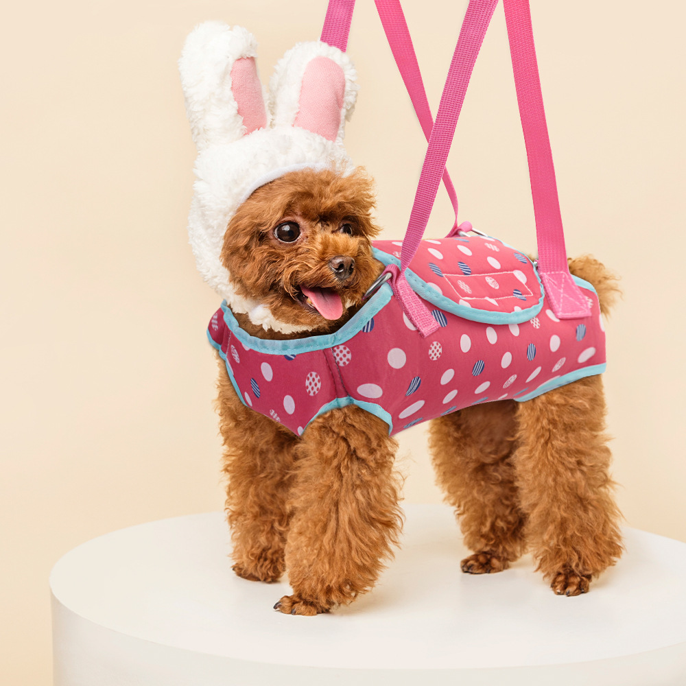 Breathable Single-Shoulder Dog Carrier
